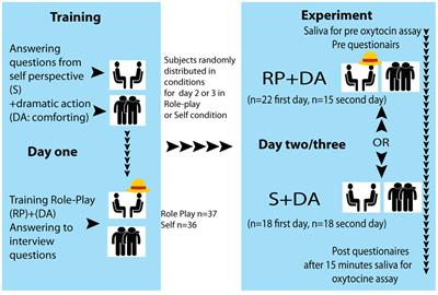 Oxytocin predicts positive affect gains in a role-play interaction